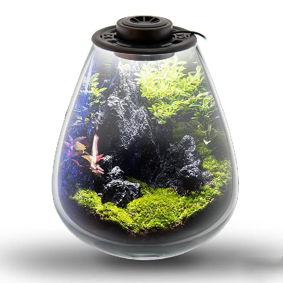 Terrarium