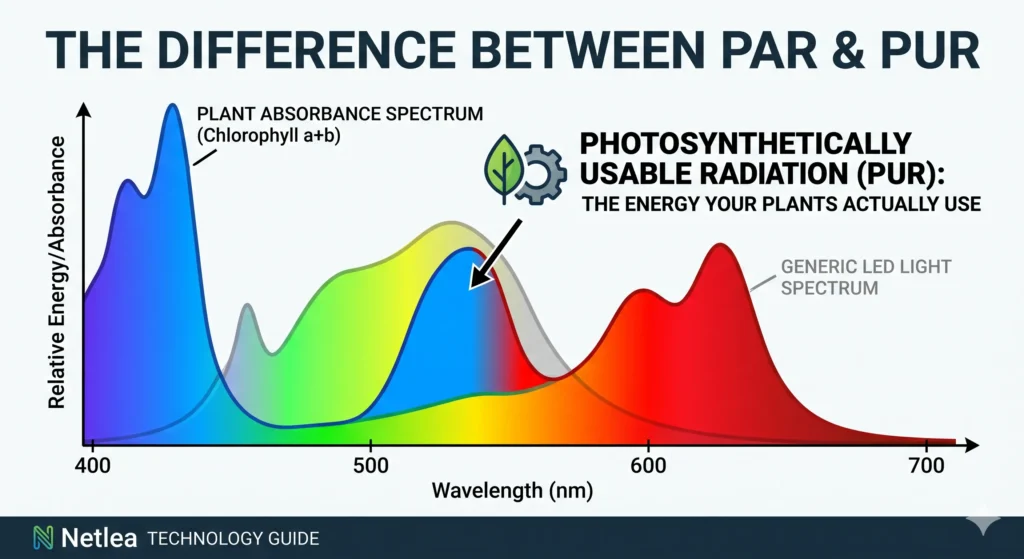 Understanding Photosynthetically Usable Radiation PUR graph