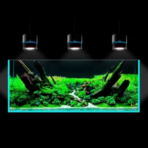 Netlea Canister Light 7s