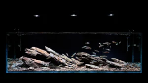 netlea canister aquarium light