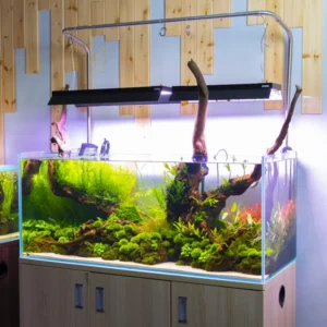 Stainless Steel Aqua Light Stand